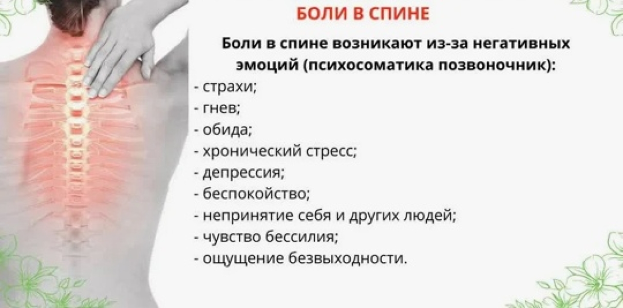 Шейный отдел .. |БЕЛЫЙ СВЕТ0