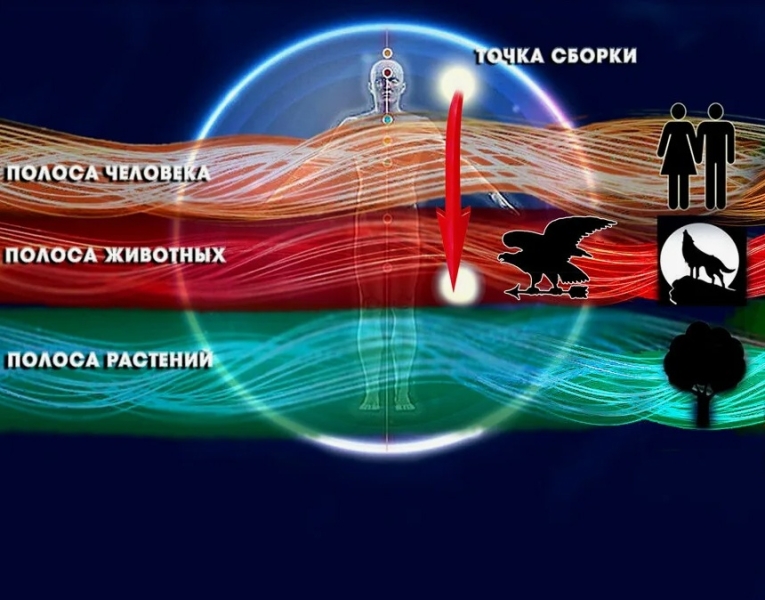 Первое, второе и третье внимания Секрет всего существующего наше внимание.1