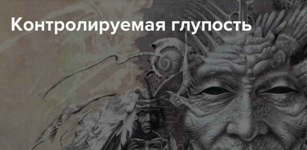 Контролируемая глупость - https://vk.com/@alexey.agni-kontroliruemaya-glupost0