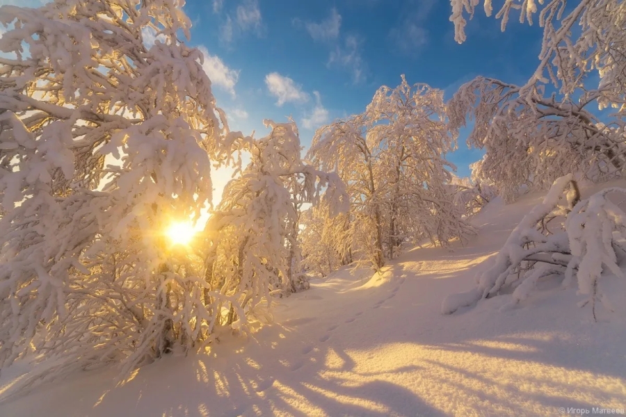 Какое же творение Бога прекрасное .. |БЕЛЫЙ СВЕТ4