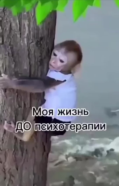 Ну как-то так и получается у нас..... |БЕЛЫЙ СВЕТ0